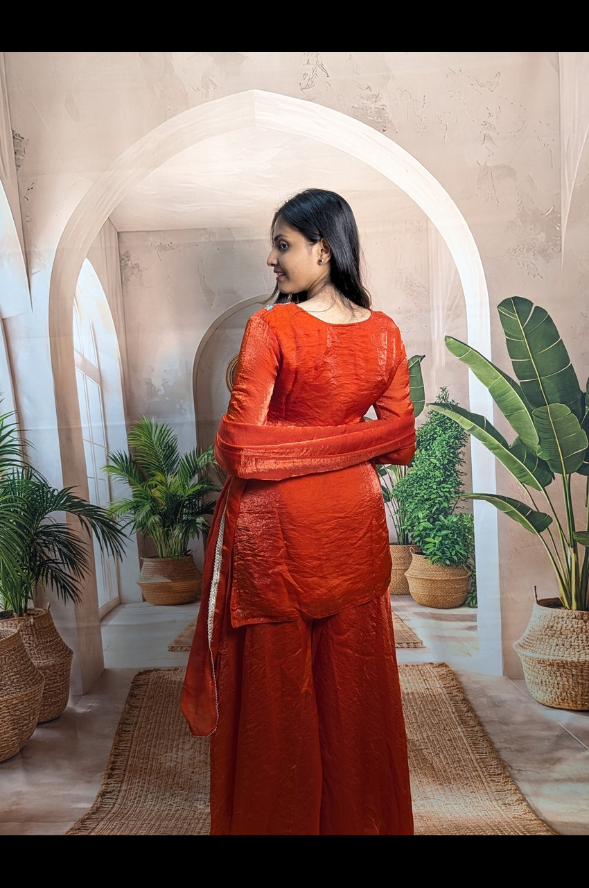Rust Orange Designer Palazzo Set with Heavy Beaded Work Back View for Women