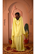 Parrot indo western lehenga set back full look elegant wedding and festive wear outfit